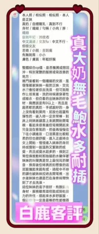 台中定點茶-白鹿