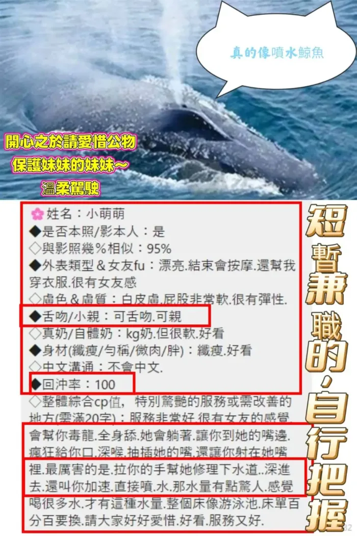 高雄定點茶-小萌萌