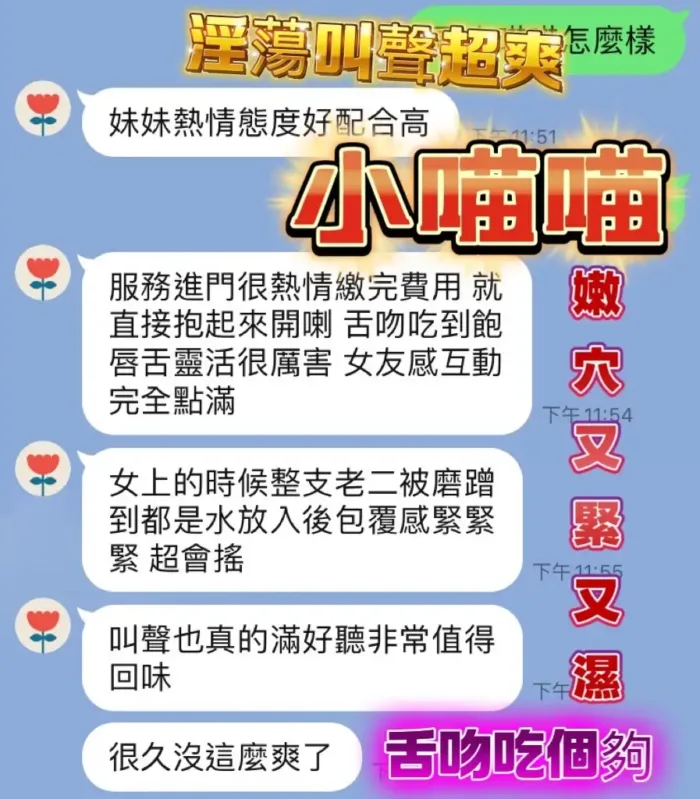 台中定點茶-小喵喵