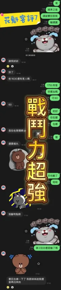 新北定點茶-花魁