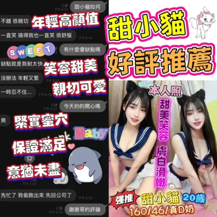 台中定點茶-甜小貓