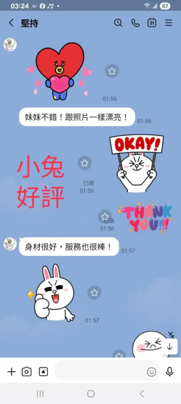 南投定點茶-小兔