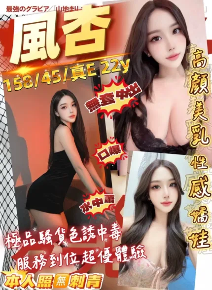 桃園定點茶-風杏