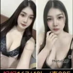 南投定點茶-妃妃