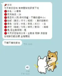 南投定點茶-小青檸